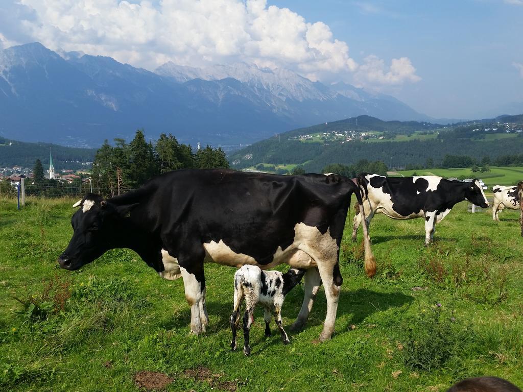 Ferienwohnung Stillerhof Innsbruck Værelse billede